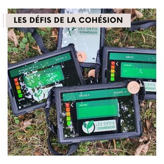 Les Défis de la Cohésion